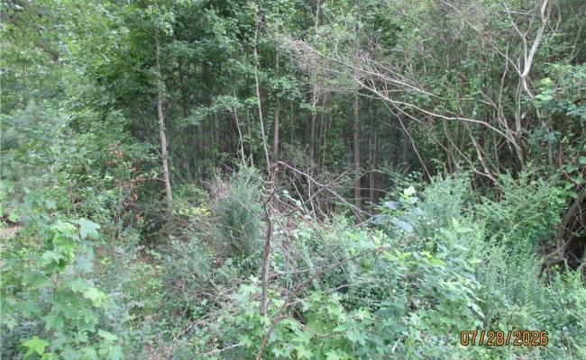 5701 Old Union Road, Charles City County, VA 23030