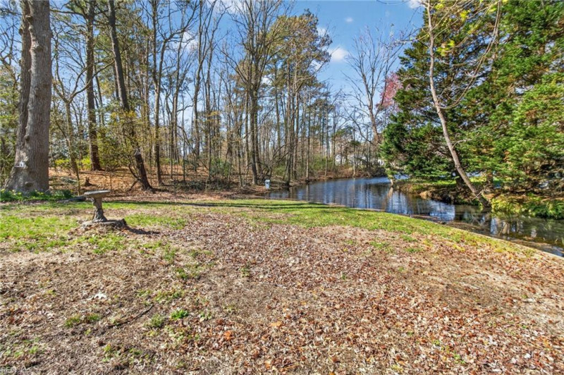 Photo 38 of 46 residential for sale in Virginia Beach virginia