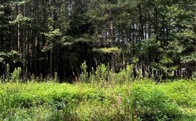 42.99 Willis Road, Gloucester County, VA 23061