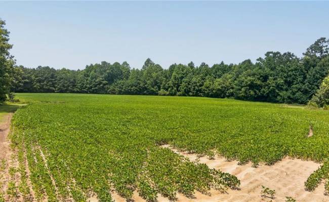 2249 Hosier Road, Suffolk, VA 23434