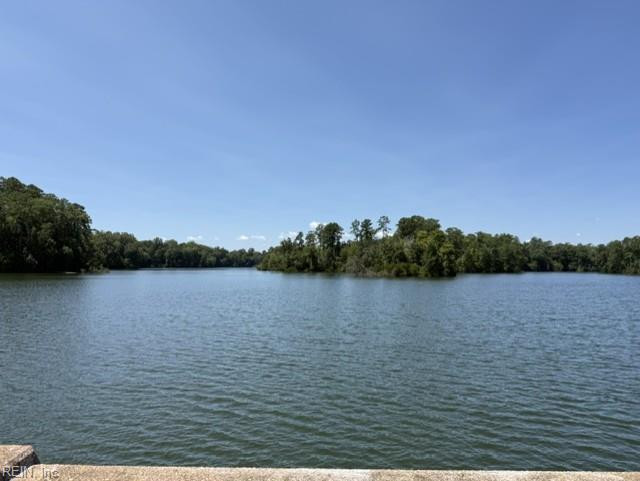 Photo 43 of 45 residential for sale in Suffolk virginia