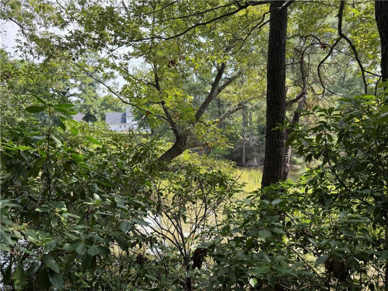 Photo 37 of 38 residential for sale in Suffolk virginia Photo 37 of 38 residential for sale in Suffolk virginia