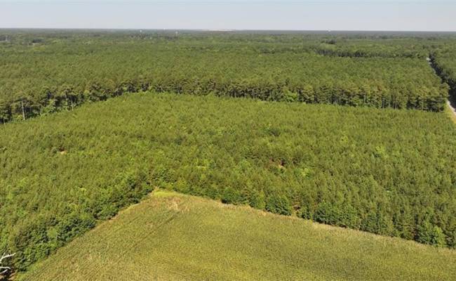 006 Georgetown Road, Sussex County, VA 23890