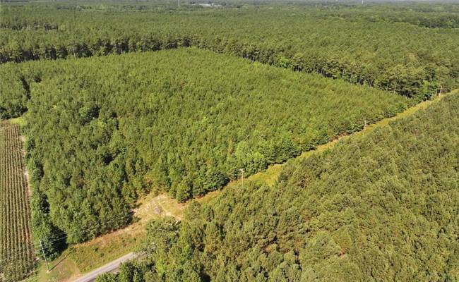 006 Georgetown Road, Sussex County, VA 23890