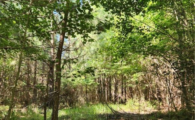 006 Georgetown Road, Sussex County, VA 23890