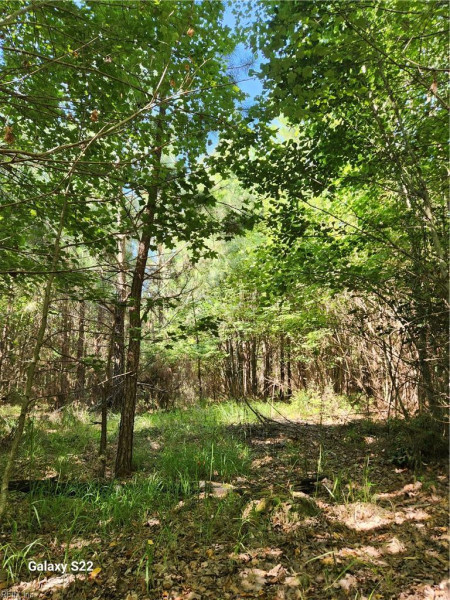 Photo 6 of 6 land for sale in Sussex County virginia Photo 6 of 6 land for sale in Sussex County virginia