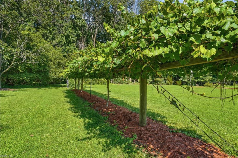 Photo 45 of 50 residential for sale in Isle of Wight County virginia