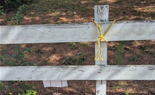 LOT 89 MAPLE Avenue, Southampton County, VA 23878