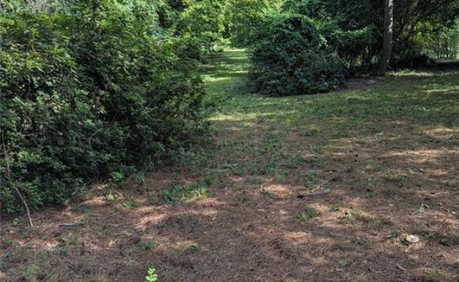 LOT 89 MAPLE Avenue, Southampton County, VA 23878