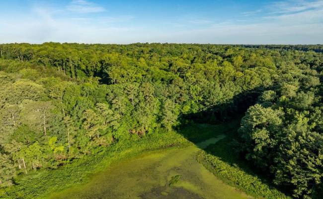 2425 Jolly Pond Road, James City County, VA 23188