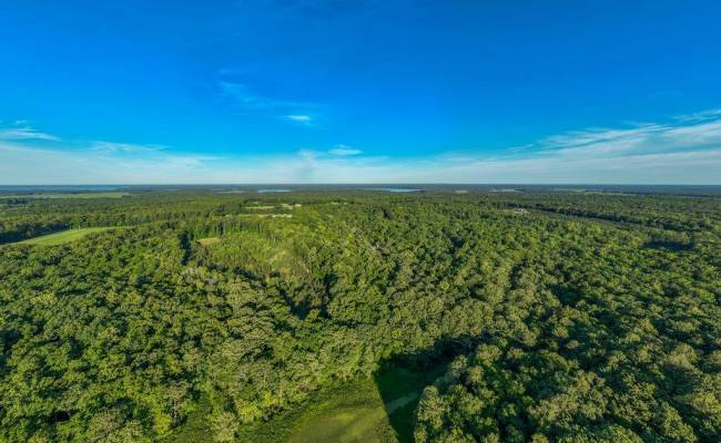 2425 Jolly Pond Road, James City County, VA 23188