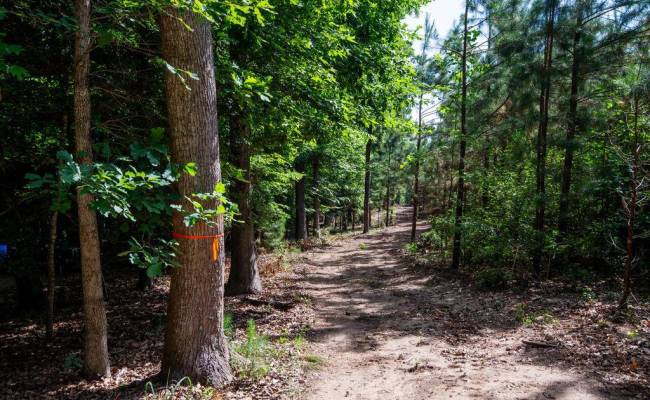 2425 Jolly Pond Road, James City County, VA 23188