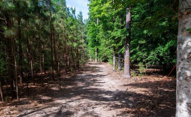 2425 Jolly Pond Road, James City County, VA 23188
