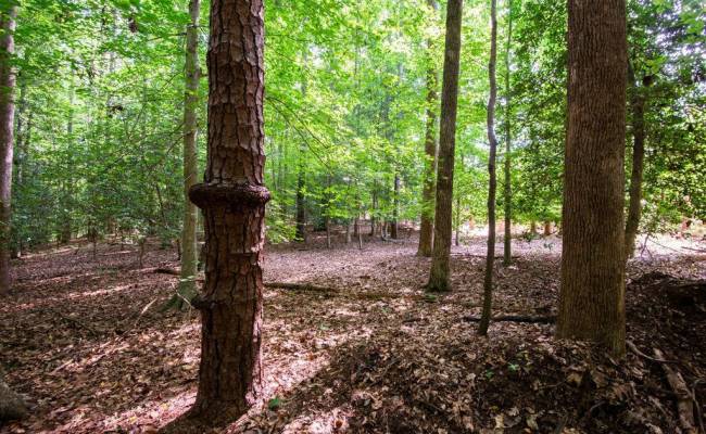 2425 Jolly Pond Road, James City County, VA 23188