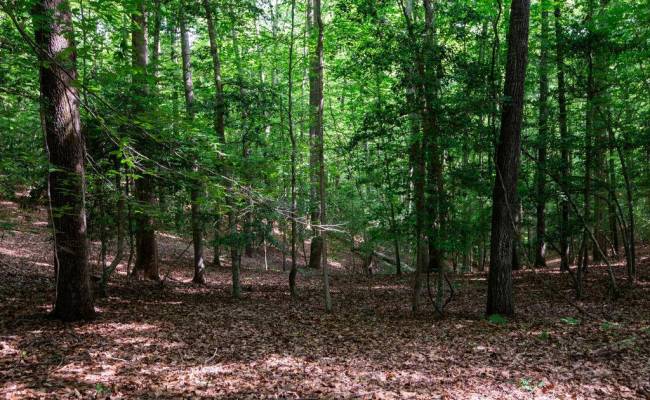 2425 Jolly Pond Road, James City County, VA 23188