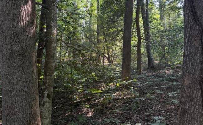 1.27ac Ware Street, Gloucester County, VA 23061