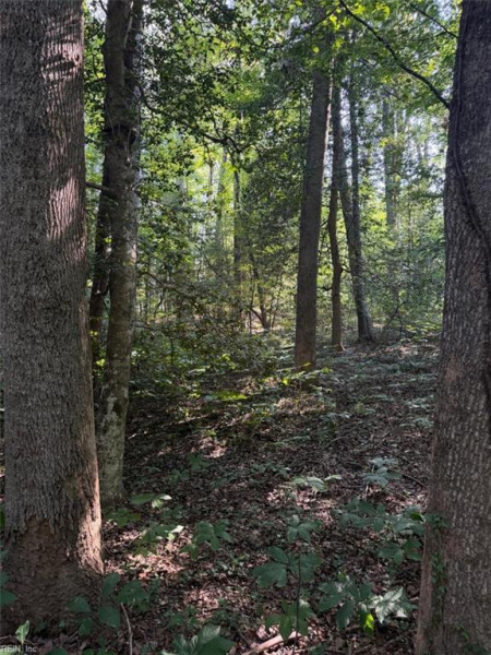 Photo 2 of 7 land for sale in Gloucester County virginia Photo 2 of 7 land for sale in Gloucester County virginia