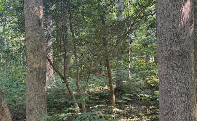 1.27ac Ware Street, Gloucester County, VA 23061