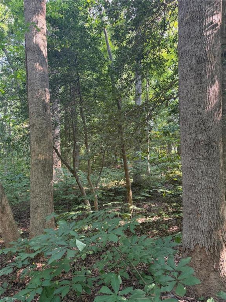 Photo 3 of 7 land for sale in Gloucester County virginia Photo 3 of 7 land for sale in Gloucester County virginia