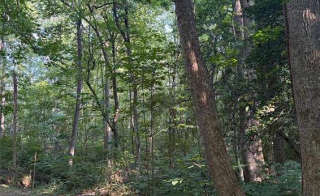 1.27ac Ware Street, Gloucester County, VA 23061