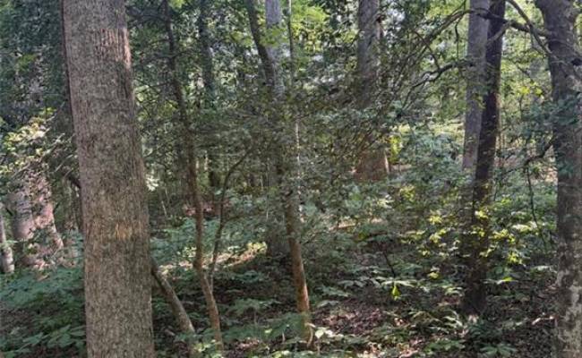 1.27ac Ware Street, Gloucester County, VA 23061