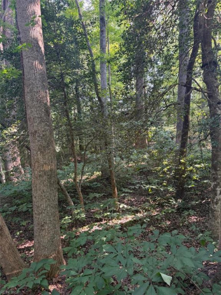 Photo 5 of 7 land for sale in Gloucester County virginia Photo 5 of 7 land for sale in Gloucester County virginia