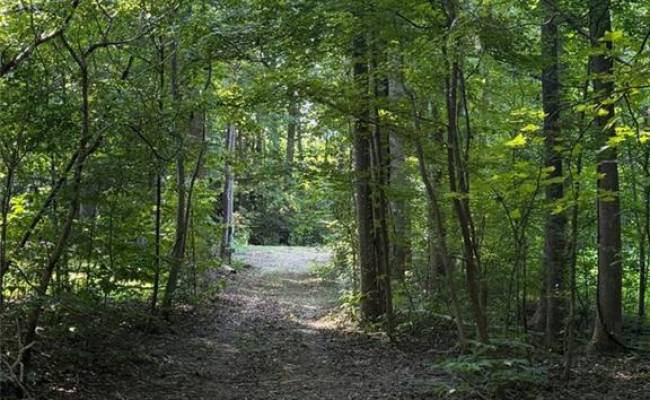 1.27ac Ware Street, Gloucester County, VA 23061