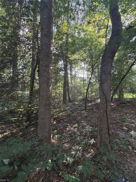 Photo 7 of 7 land for sale in Gloucester County virginia Photo 7 of 7 land for sale in Gloucester County virginia