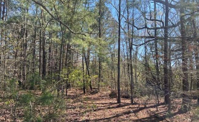 00 Carsley Road, Surry County, VA 23890