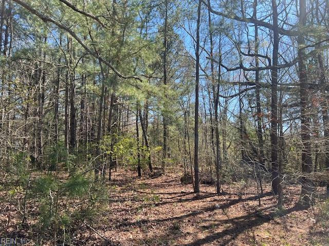 Photo 1 of 2 land for sale in Surry County virginia Photo 1 of 2 land for sale in Surry County virginia