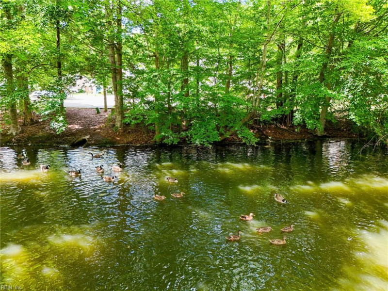 Photo 47 of 48 residential for sale in Suffolk virginia Photo 47 of 48 residential for sale in Suffolk virginia