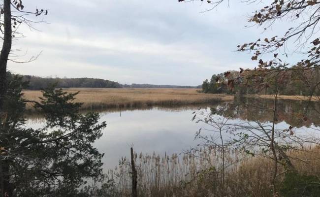 2561 Fort Huger Drive, Isle of Wight County, VA 23430 photo 2