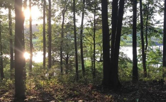 2561 Fort Huger Drive, Isle of Wight County, VA 23430 photo 4