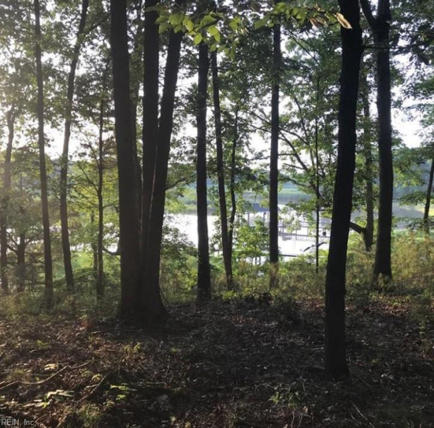 Photo 5 of 7 land for sale in Isle of Wight County virginia