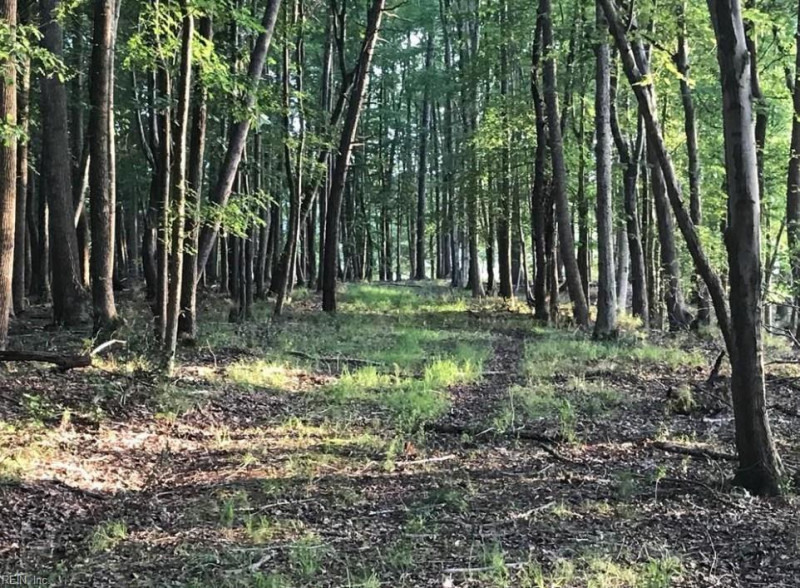 Photo 6 of 7 land for sale in Isle of Wight County virginia
