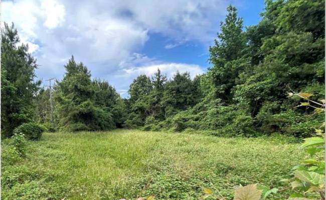 2650 Benefit Road, Chesapeake, VA 23322