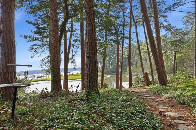 Photo 46 of 50 residential for sale in Virginia Beach virginia