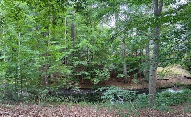917 Lacon Drive, Newport News, VA 23608