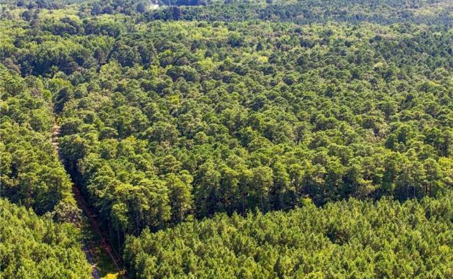 27+ AC Low Ground Road, Gloucester County, VA 23072