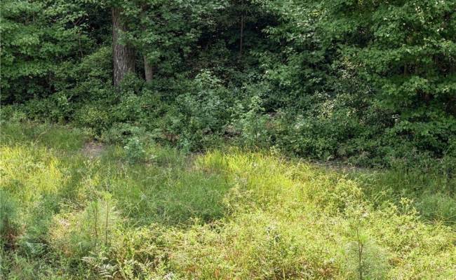 27+ AC Low Ground Road, Gloucester County, VA 23072