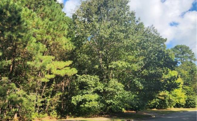 3912 Savannah Drive, Chesapeake, VA 23322 photo 3