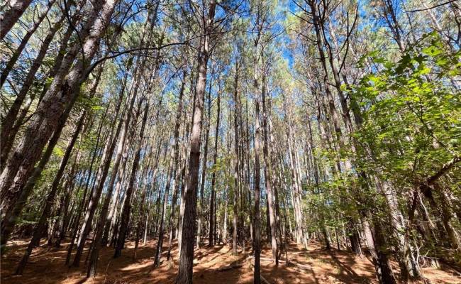 15 Acres Cypress Chapel Road, Suffolk, VA 23434