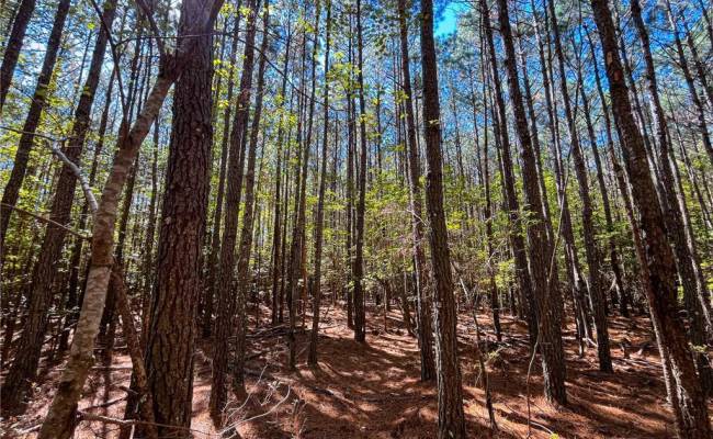 15 Acres Cypress Chapel Road, Suffolk, VA 23434