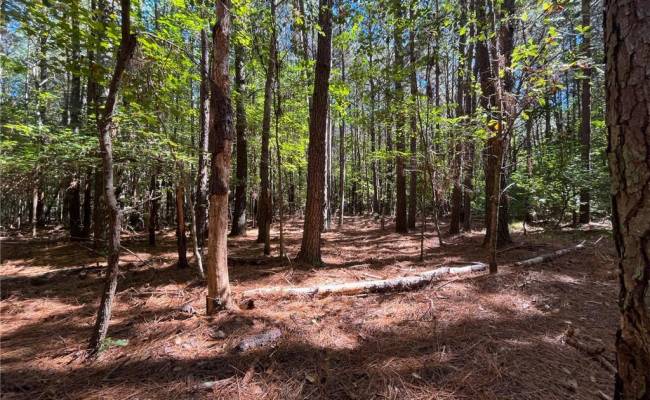 15 Acres Cypress Chapel Road, Suffolk, VA 23434