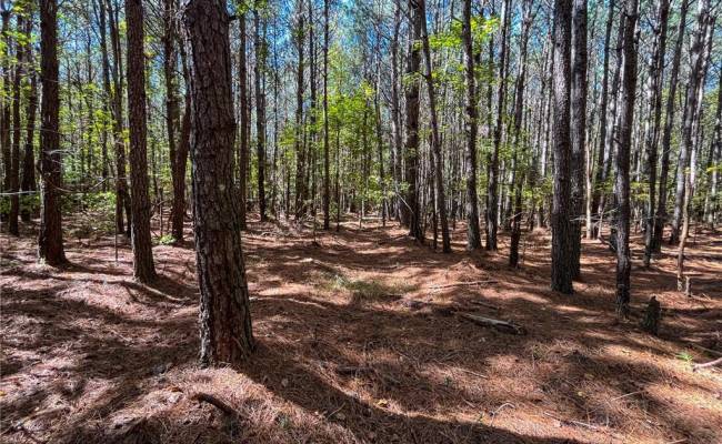 15 Acres Cypress Chapel Road, Suffolk, VA 23434