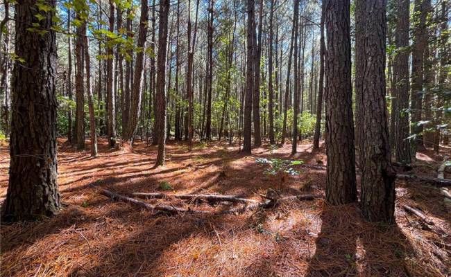 15 Acres Cypress Chapel Road, Suffolk, VA 23434