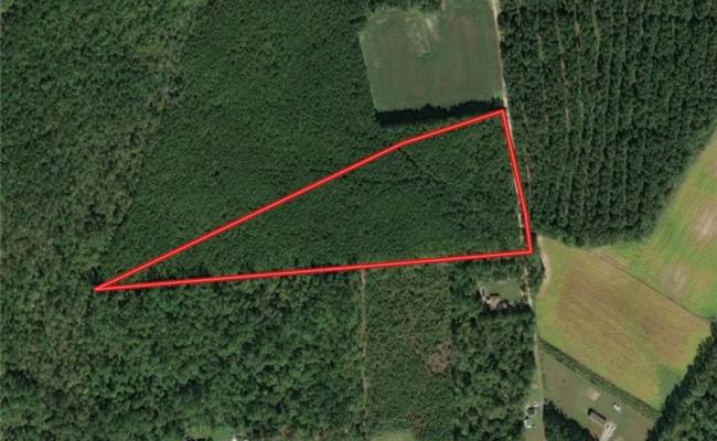 15 Acres Cypress Chapel Road, Suffolk, VA 23434