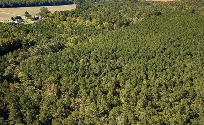 15 Acres Cypress Chapel Road, Suffolk, VA 23434