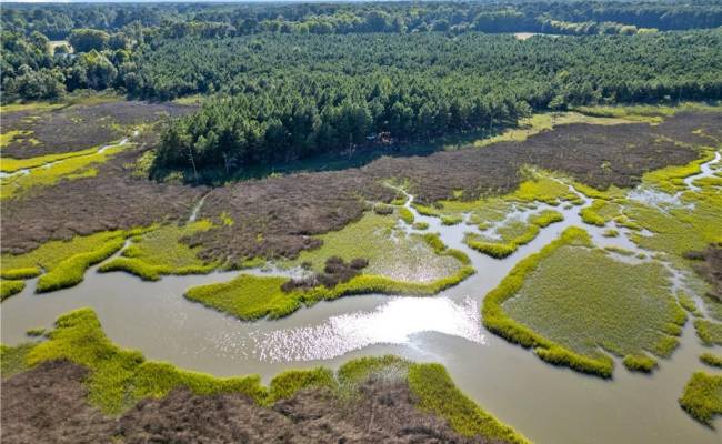 55 Ac  Vellines Lane, Isle of Wight County, VA 23314