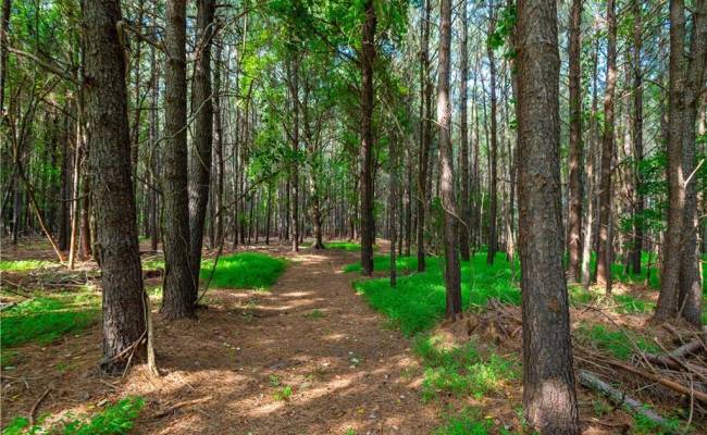 55 Ac  Vellines Lane, Isle of Wight County, VA 23314